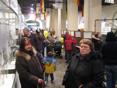 2009 - Tuttomele