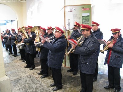 2009 - Tuttomele