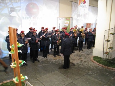 2009 - Tuttomele