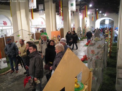2009 - Tuttomele