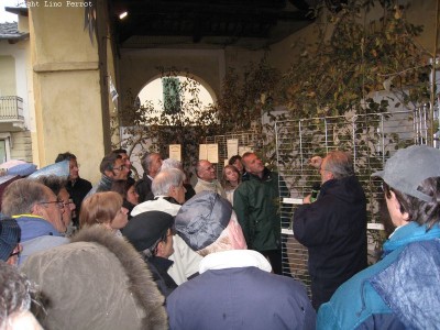 2009 - Tuttomele
