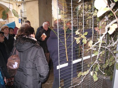 2009 - Tuttomele