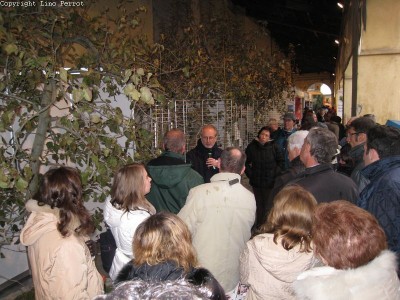 2009 - Tuttomele