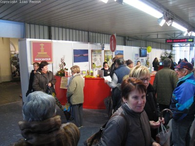 2009 - Tuttomele