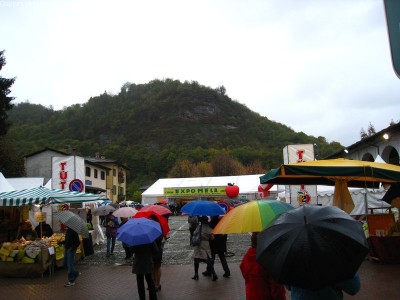 2009 - Tuttomele