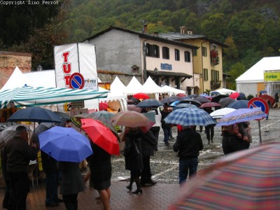 2009 - Tuttomele