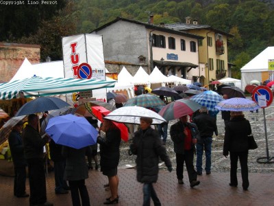 2009 - Tuttomele
