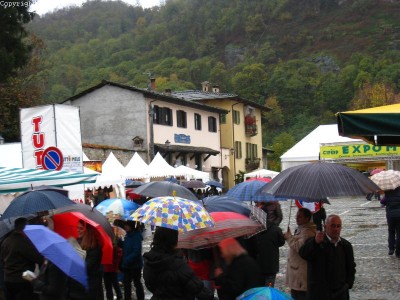 2009 - Tuttomele