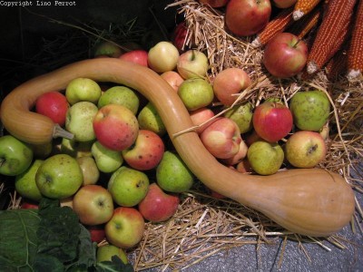 2009 - Tuttomele