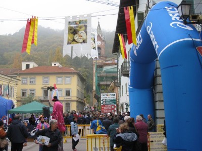 2009 - Tuttomele
