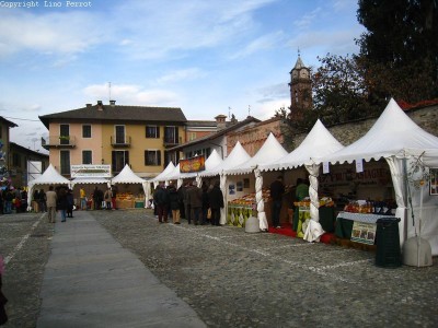 2009 - Tuttomele
