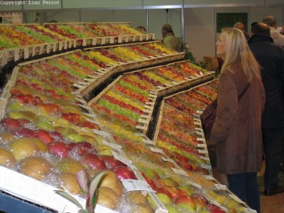 2009 - Tuttomele