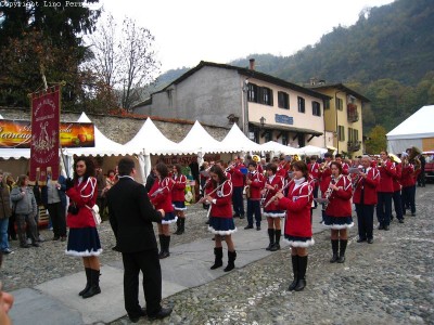 2009 - Tuttomele