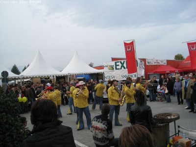 2009 - Tuttomele