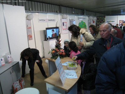 2009 - Tuttomele