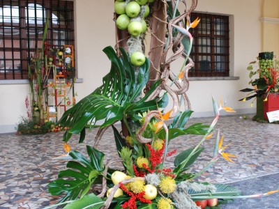 2010 - Tuttomele (Ph S. Ron)