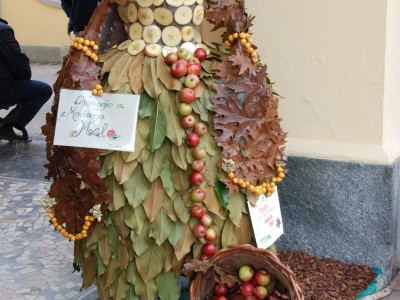 2010 - Tuttomele (Ph S. Ron)