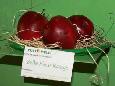 2010 - Tuttomele Mele esposte (Ph Perotti)
