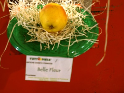 2010 - Tuttomele Mele esposte (Ph Perotti)
