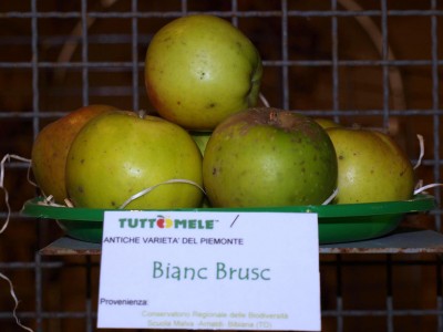 2010 - Tuttomele Mele esposte (Ph Perotti)