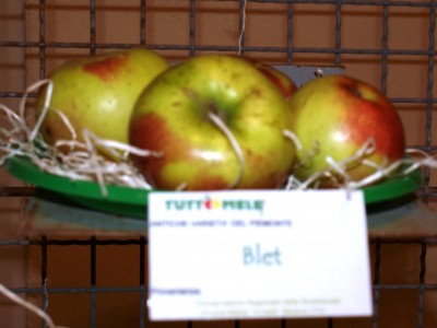 2010 - Tuttomele Mele esposte (Ph Perotti)