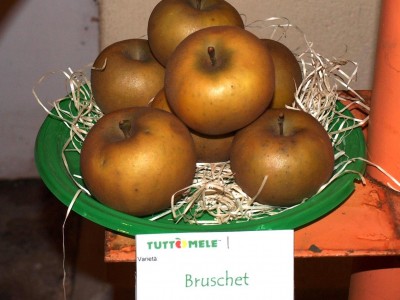 2010 - Tuttomele Mele esposte (Ph Perotti)