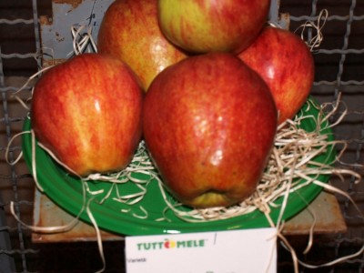 2010 - Tuttomele Mele esposte (Ph Perotti)