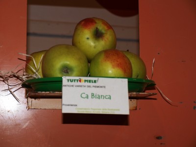 2010 - Tuttomele Mele esposte (Ph Perotti)