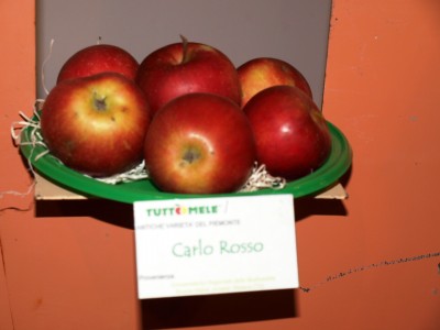 2010 - Tuttomele Mele esposte (Ph Perotti)