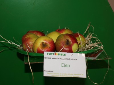 2010 - Tuttomele Mele esposte (Ph Perotti)