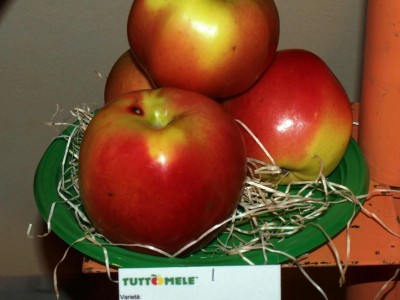 2010 - Tuttomele Mele esposte (Ph Perotti)