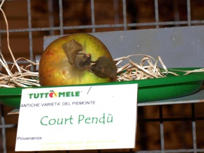 2010 - Tuttomele Mele esposte (Ph Perotti)