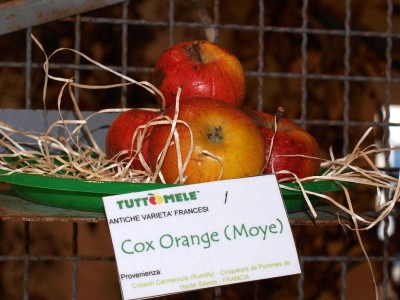 2010 - Tuttomele Mele esposte (Ph Perotti)
