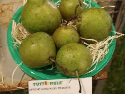 2010 - Tuttomele Mele esposte (Ph Perotti)