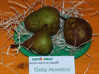2010 - Tuttomele Mele esposte (Ph Perotti)