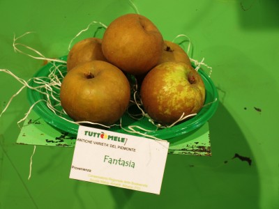 2010 - Tuttomele Mele esposte (Ph Perotti)