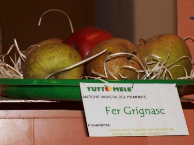 2010 - Tuttomele Mele esposte (Ph Perotti)