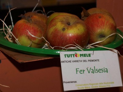 2010 - Tuttomele Mele esposte (Ph Perotti)