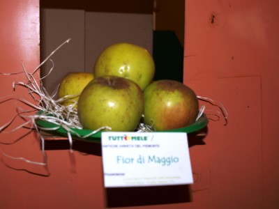 2010 - Tuttomele Mele esposte (Ph Perotti)