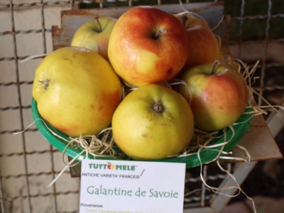 2010 - Tuttomele Mele esposte (Ph Perotti)