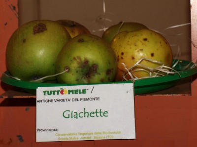2010 - Tuttomele Mele esposte (Ph Perotti)
