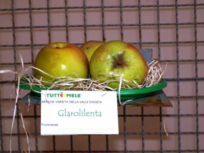 2010 - Tuttomele Mele esposte (Ph Perotti)