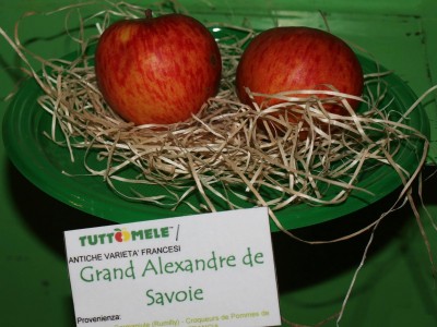 2010 - Tuttomele Mele esposte (Ph Perotti)