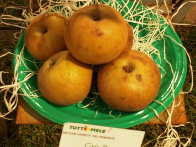 2010 - Tuttomele Mele esposte (Ph Perotti)