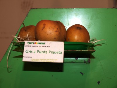 2010 - Tuttomele Mele esposte (Ph Perotti)