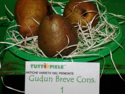 2010 - Tuttomele Mele esposte (Ph Perotti)