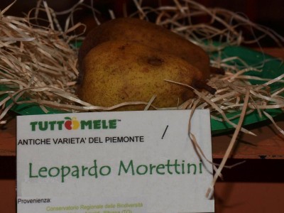 2010 - Tuttomele Mele esposte (Ph Perotti)
