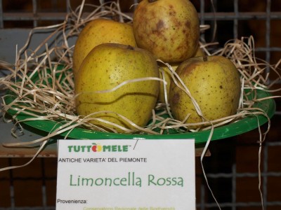2010 - Tuttomele Mele esposte (Ph Perotti)