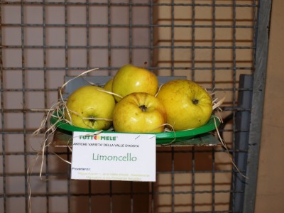 2010 - Tuttomele Mele esposte (Ph Perotti)