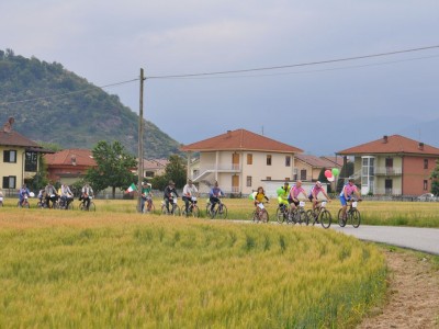 2011 - Pedalacavour
